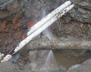 水管维修费用是多少