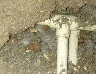 卫生间测漏