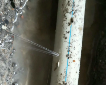 卫生间测漏水多少钱