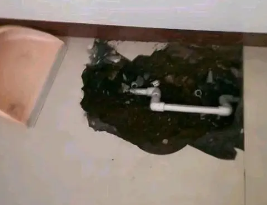 卫生间测漏水多少钱